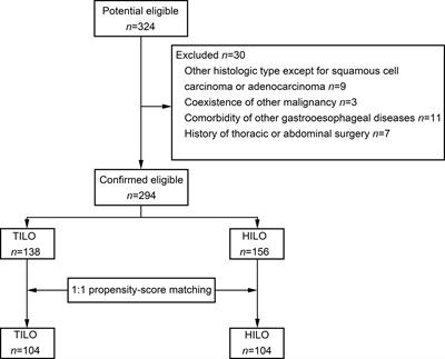 Short- and Long-Term Outcomes of Totally Versus Hybrid Minimally Invasive Ivor Lewis Oesophagectomy for Oesophageal Cancer: A Propensity Score-Matched Analysis